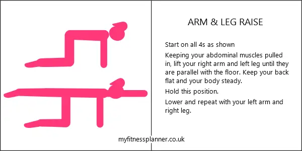 Arm and leg raise