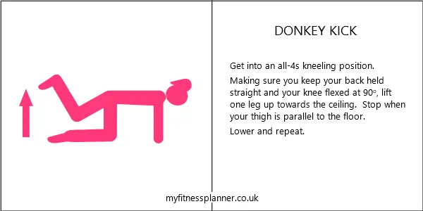 Donkey kick