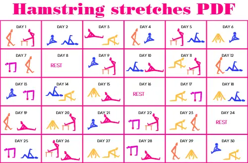 Hamstring stretch challenge 2024