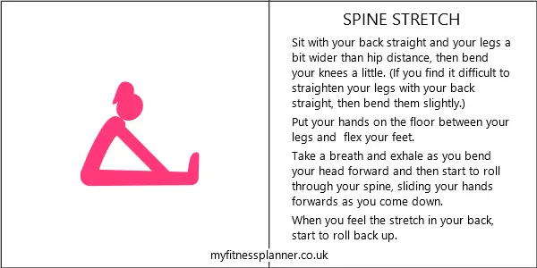 Spine stretch