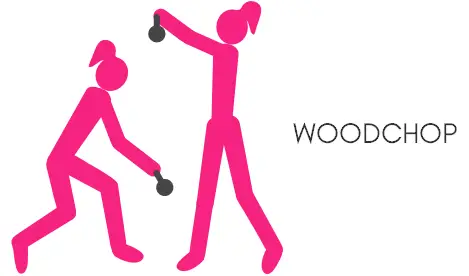Standing oblique exercises - woodchop 