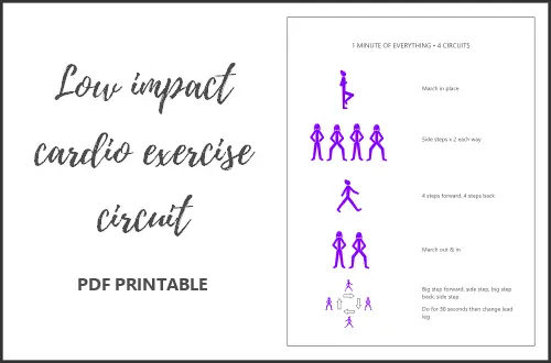 Lowest impact cardio exercises circuit PDF