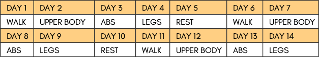 14 day workout challenge schedule