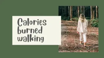 Calories burned walking