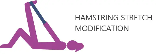 Hamstring modification