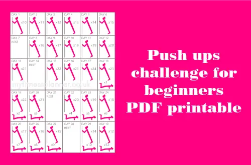 Push ups challenge for beginners PDF