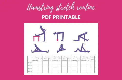 Hamstring stretch routine PDF