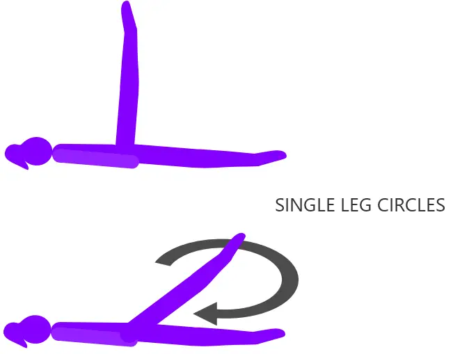 Lower ab circuit single leg circle