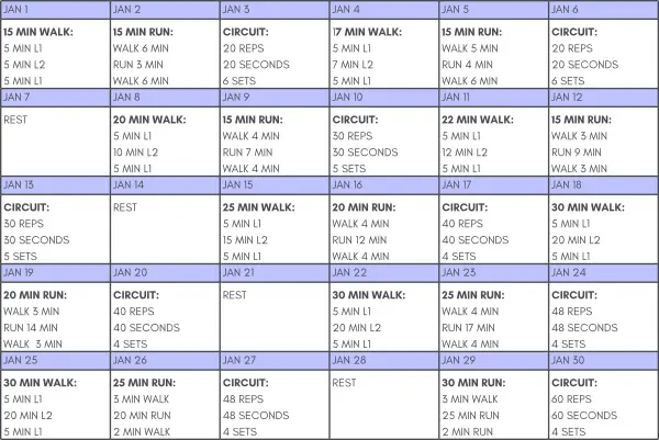 New Year weight loss challenge chart printable