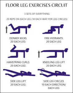 Floor leg exercises circuit - My Fitness Planner